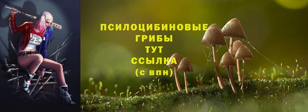 трава Алзамай
