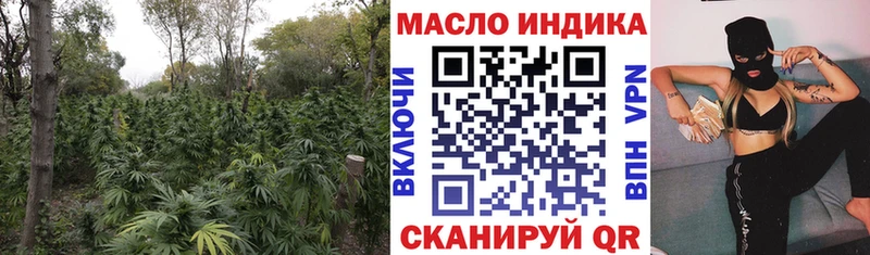 Купить где  Кизел  Дистиллят ТГК вейп с тгк 